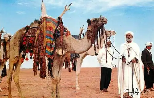Algeria Menaristes au Sahara types et scenes