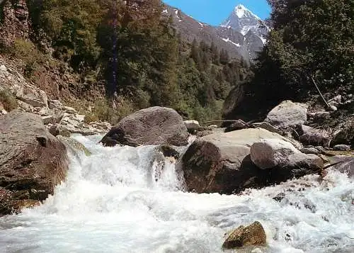 Switzerland Val d'Herens Torrent pres de Hauderes