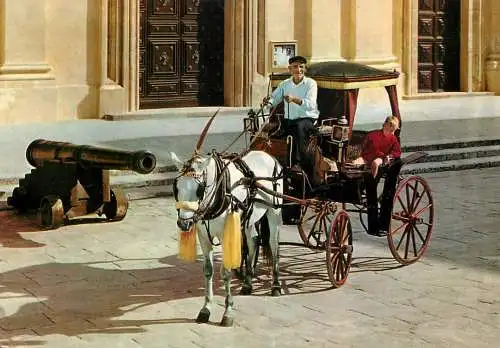 Malta Maltese Karozzin