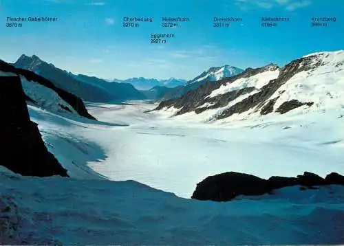 Switzerland Jungfraujoch Aletschgletscher