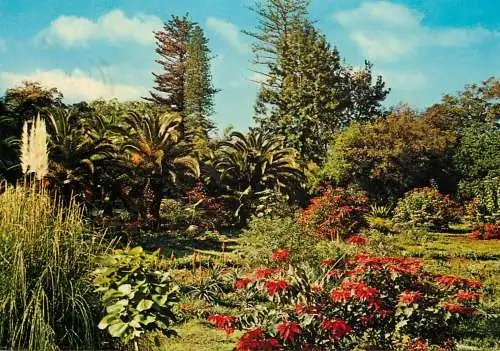 Portugal Funchal Madeira Parque de Santa Caterina