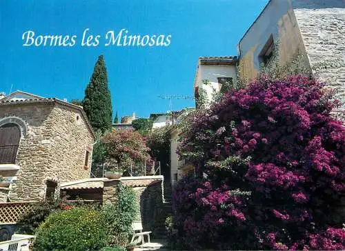 France Bormes-les-Mimosas
