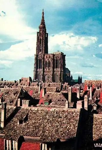 France Strasbourg (Bas-Rhin) La Cathedrale Das Munster