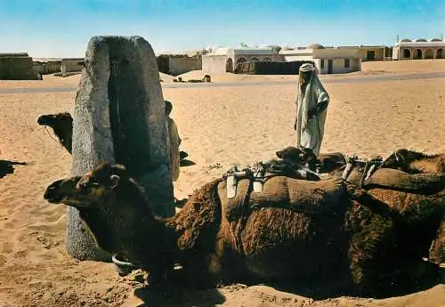 Algeria - the fascinating south man with camel