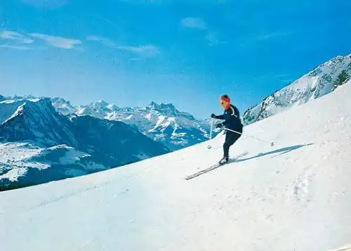 Switzerland Alpes Vaudoises Les Mosses ski types and scenes