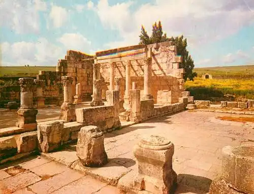 Israel Capharnaum Ruins of the Ancient Synagogue