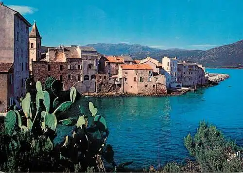 France La Corse oasis de beaute Saint-Florent