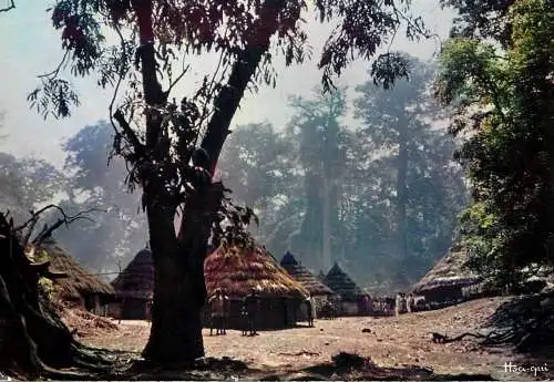 Africa types and scenes typical village