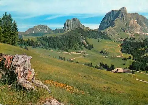 Switzerland Gantrisch Schwefelberg-Gebiet (Berner-Oberland) Krummfadenfluh Nunenen