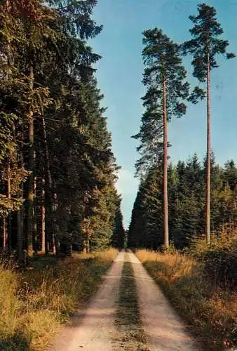 Germany Konigsfeld im Schwarzwald  Heilklimatischer Jahreskurort