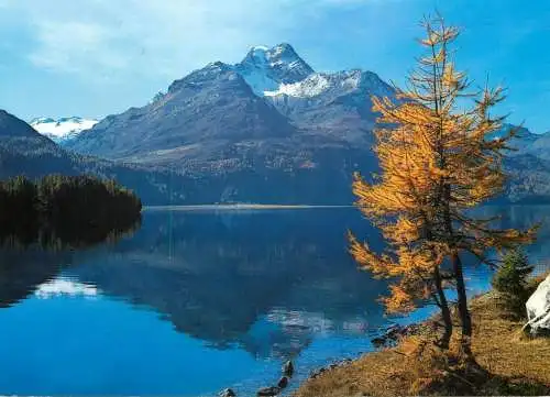 Switzerland Herbsttag am Silsersee