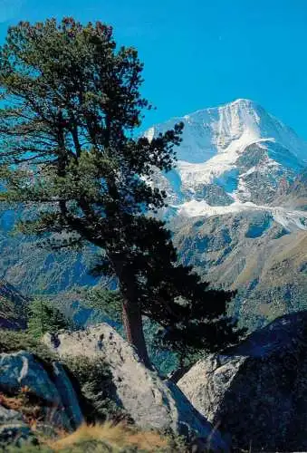 Switzerland Arolla