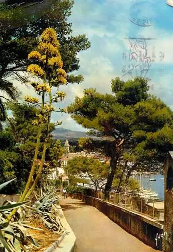 France Cote d'Azur Sanary-sur-Mer