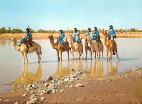 Sud Marocain M'Hamid Hommes bleus sur leurs Mehare types et scènes ethniques