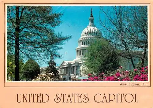 United States Washington DC - the Capitol
