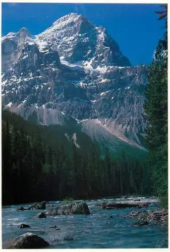 Canada Mt Stephen Kicking Horse Pass Yoho National Park picturesque scenery