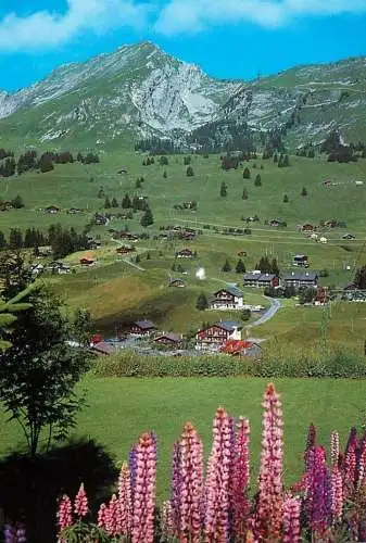 Switzerland Les Mosses vue generale