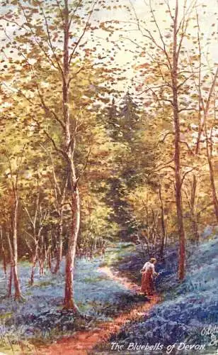 British fine art scenic postcard painting the Bluebells of Devon
