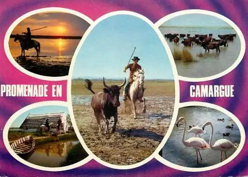 France Promenade en Camargue multi view