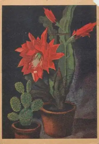 Netherlands flower painting