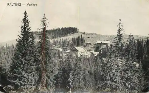 Romania Paltinis panorama