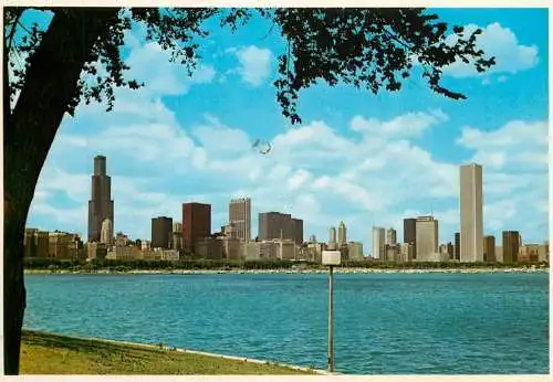 USA Chicago IL skyline view
