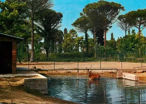 Italy Cervia Milano Marittima Parco Naturale