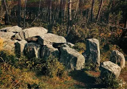 France Environs de Carnac Dolmen de Crucuno