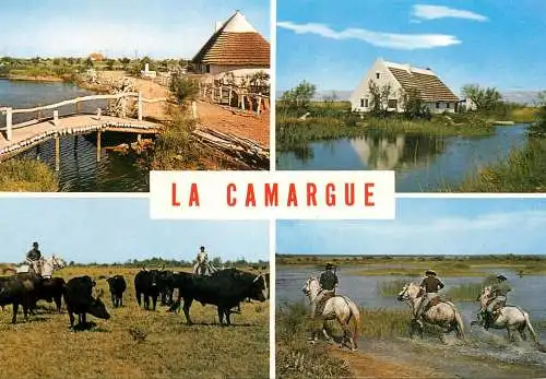 France La Camargue multi view