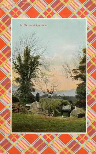 England in the sweet hay time countryside types and scenes