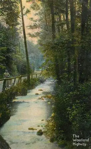 England Woodland Highway picturesque natural landscape