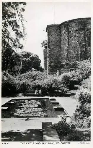 England Colchester - Castle & Lily Pond Tuck card