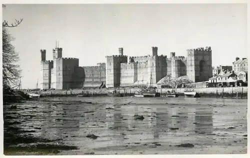 Wales Caernarvon Castle photo