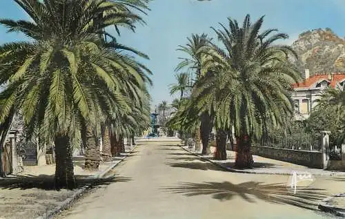cpsm France Hyeres-les-Palmiers Avenue Godillot