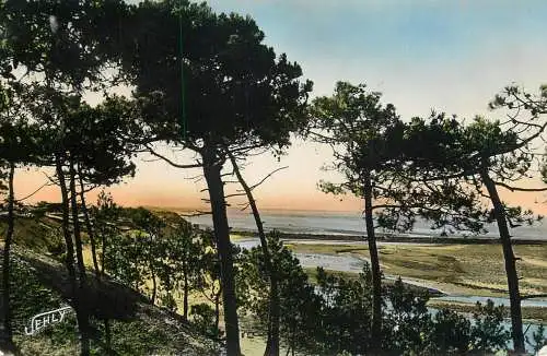 cpsm France La Belle Henriette camping coucher du soleil