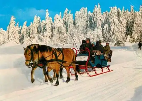 Horse, cheval, Pferde Postkarte Germany sauerland winter sled scene