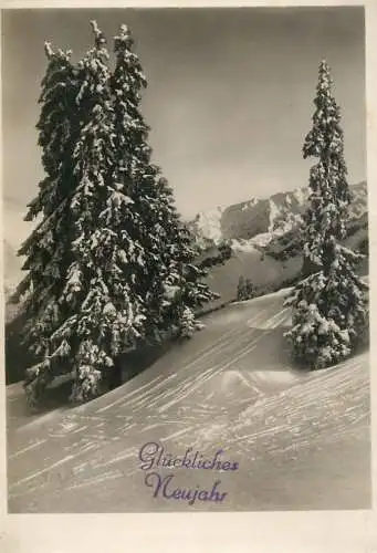 Germany winter card snow forest
