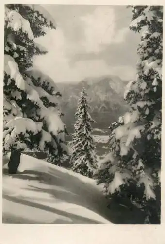 Germany winter card snow forest