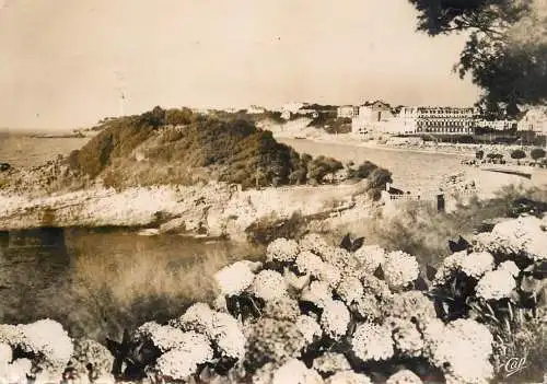 France Biarritz le Basta