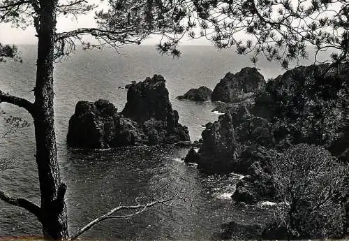 France Cote d' Azur camp Dramont