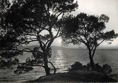 France Cote d' Azur camp Dramont