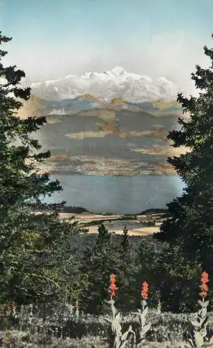 cpsm France La Franche-Comte pittoresque - Le Lac Leman & Le Mont Blanc