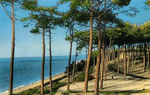 cpsm France Bassin d'Arcachon Le Moulleau Les Abatilles