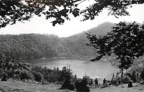 Romania scenic postcard butterfly stamp Tusnad Lake St Ana