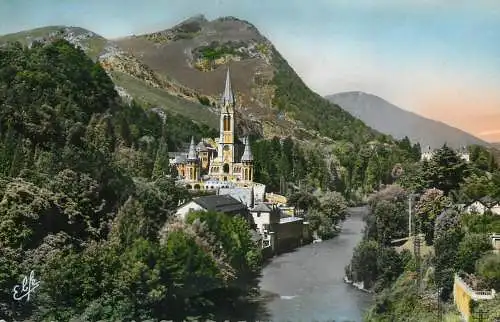 cpsm France Lourdes Basilique & Vallee du Gave