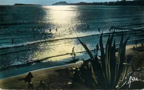 cpsm France Bandol plage du Lido au crepuscule