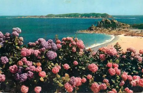 cpsm France Perros-Guirec Plage de Trestrignel