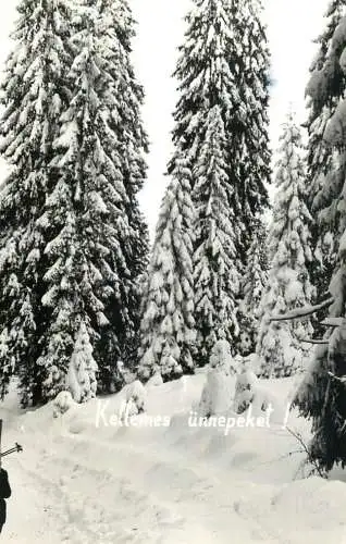 Hungary Christmas greetings frozen fir trees forest winter scenery