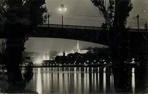 Hungary Budapest Danube nocturnal aspect
