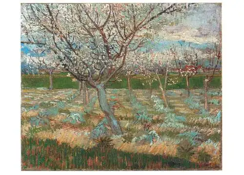 Greetings card fine arts painting van Gogh Abricotiers en fleur